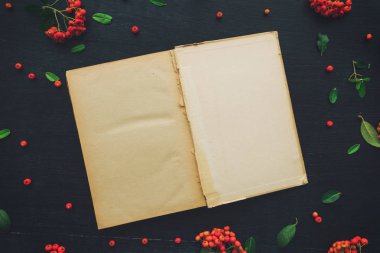 Vintage açık kitap düz lay sahte kadar vahşi berry meyve düzenleme ile dekore edilmiş kopya alanı od koyu siyah Resepsiyon arka plan olarak