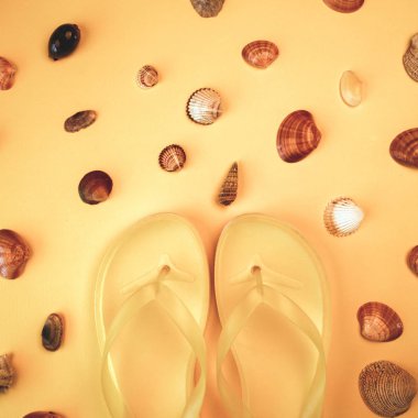 Yaz flip flop ve deniz kabukları, üstten görünüm düz retro tonlu görüntü yatıyordu