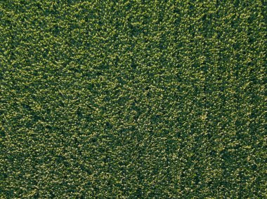 Soya bitki ekili tarım alanı hava yukarıdan aşağıya görünümü