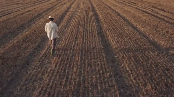 Visão Traseira Agricultor Masculino Andando Voando Drone Com Controle Remoto — Vídeo de Stock