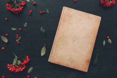 Düz yatıyordu vintage ciltli kitap, vahşi berry meyve decoarative düzenleme ile üstten görünüm