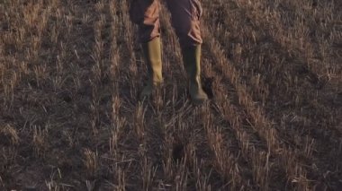 Bir dron hasat buğday anız alanında uzaktan kumanda ile yaz gün batımı uçan çiftçi