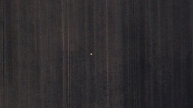 Erkek çiftçinin hasat buğday anız alanında uzaktan kumanda ile bir dron yaz gün batımı uçan üstten görünüm