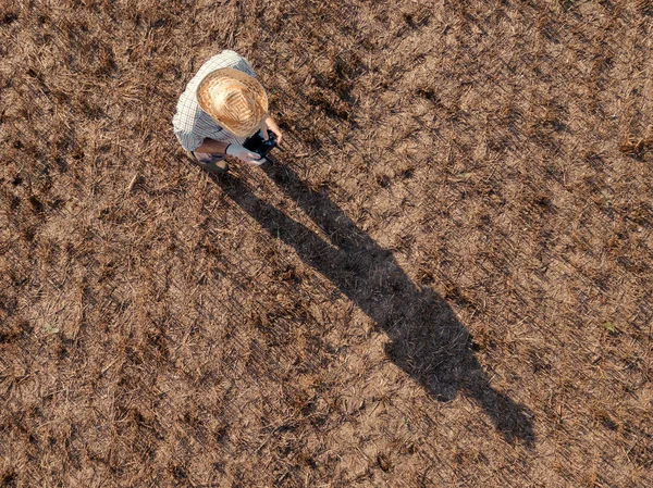 Top View Male Farmer Flying Drone Remote Control Harvested Wheat — Stock Photo, Image