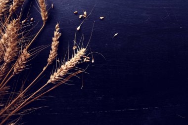 Buğday ve koyu ahşap arka plan üzerinde tahıl