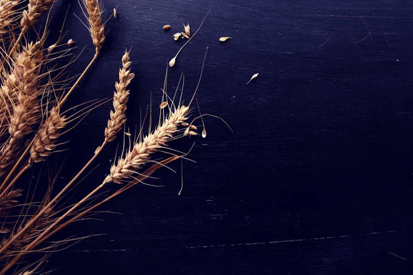 Buğday ve koyu ahşap arka plan üzerinde tahıl