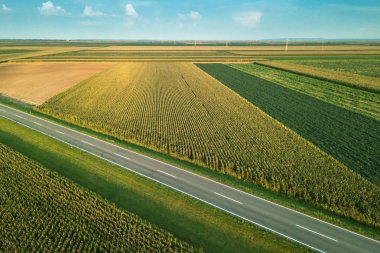 İki şeritli otoban yol kırsal ve yaz günbatımı mısır ekili alan havadan görünümü