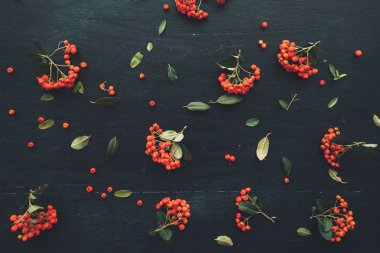 Vahşi berry düz Dekoratif düzenleme koyu ahşap arka plan üzerinde yatıyordu.