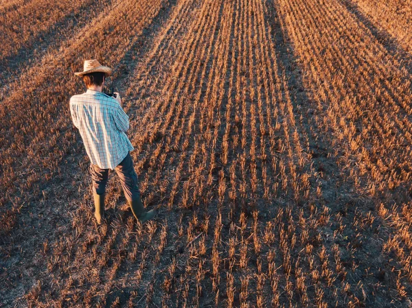 夏夕日小麦無精ひげ分野でリモコンでドローンを飛んでいる男性の農夫の背面図 — ストック写真