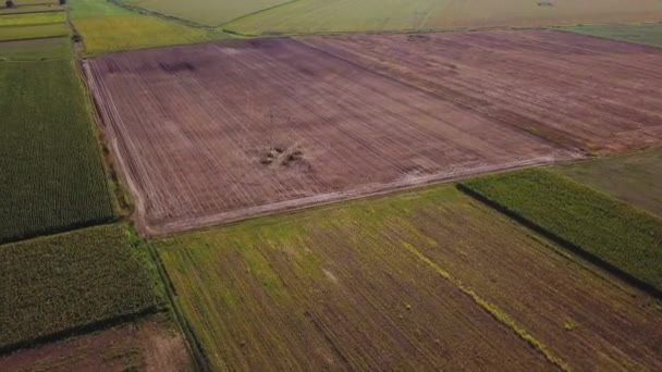 Images de drones de champs cultivés en été, paysage de campagne plaine de vue en angle élevé 