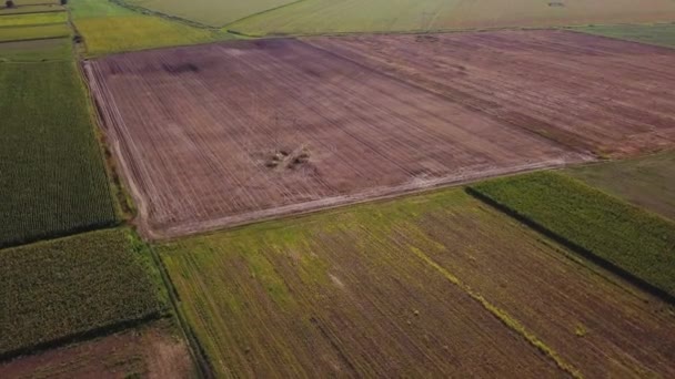 Imagens Drones Campos Cultivados Verão Paisagem Campestre Simples Vista Alto — Vídeo de Stock