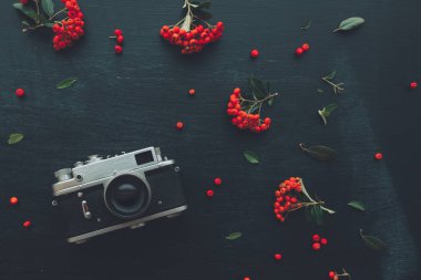 Çiçek düzenleme ile koyu ahşap arka plan düz yatıyordu hippi tarzı eski vintage fotoğraf kamera