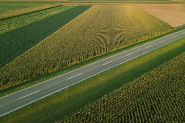 İki şeritli otoban yol kırsal ve yaz günbatımı mısır ekili alan havadan görünümü
