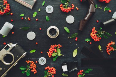 Vintage retro kamera düz negatif film rulo ve vahşi berry meyve düzenleme ile dekore edilmiş koyu arka plan üzerinde yatıyordu