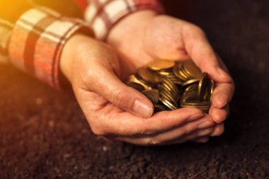 Avuç toprak arazi üzerinde bozukluk ile para yapma ve tarımda kar kazanıyor çiftçi