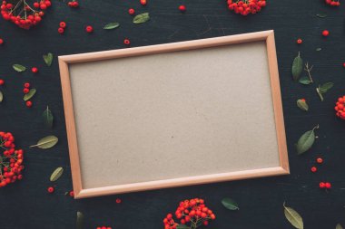 Düz yatıyordu boş resim sahte koyu arka plan üzerinde kopya yer vahşi berry meyve düzenleme ile dekore edilmiştir.