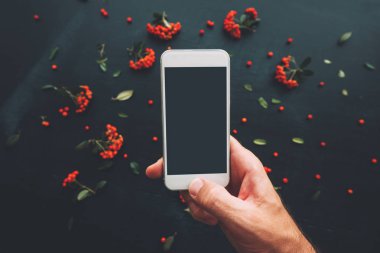 Smartphone ekran sahte vahşi berry meyve düzenleme ile dekore edilmiş koyu arka plan üzerinde kullanarak ele