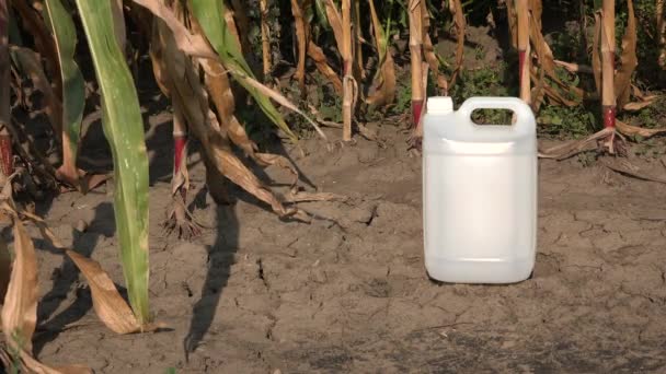 除草剤 コピー領域をモックとして畑で白いプラスチック農薬化学水差し殺菌剤や殺虫剤トウモロコシに使用される作物の農業 — ストック動画
