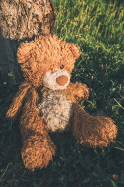 Sefil oyuncak ayı açık havada ağaç üstünde-e doğru eğilerek terk