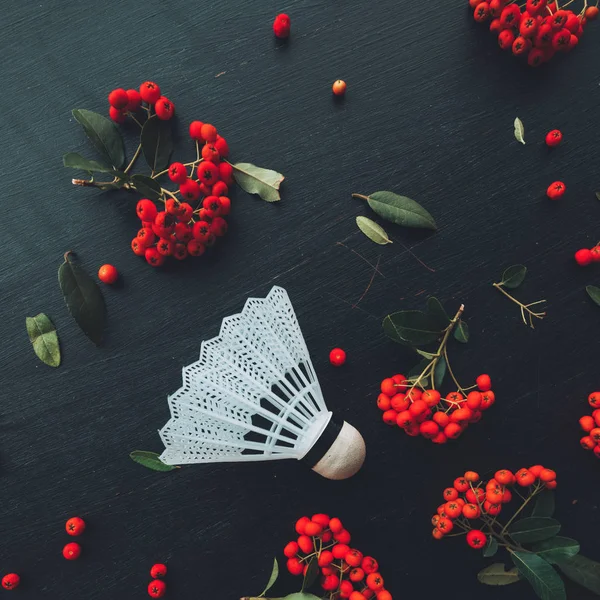 Flat Lay Badminton Shuttlecock Vista Superior Equipamentos Esportivos Com Arranjo — Fotografia de Stock