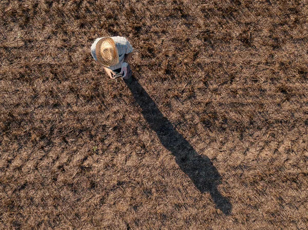 Top View Male Farmer Flying Drone Remote Control Harvested Wheat — Stock Photo, Image