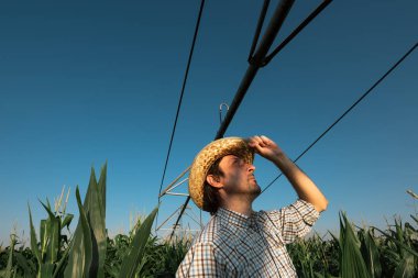 Mısır tarlası Sulama sistem dışı işlemi sırasında sıcak yaz günü ile ciddi endişe çiftçi