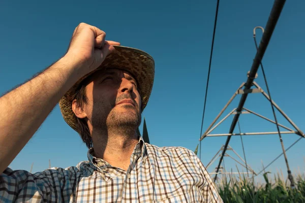 Serious Concerned Farmer Cornfield Irrigation System Out Operation Warm Summer — Stock Photo, Image