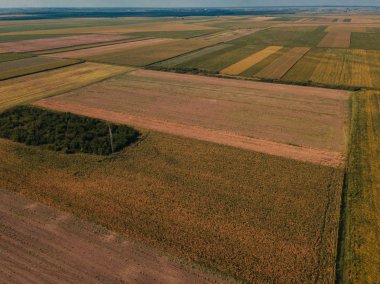 Uçak fotoğraf yazın, düz kırsal manzara yüksek açı görünümden ekili alanların