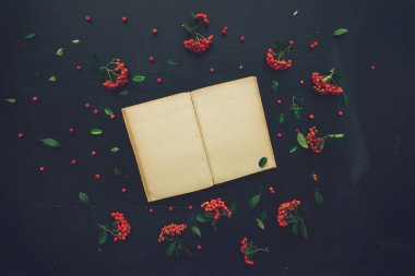Vintage açık kitap düz lay sahte kadar vahşi berry meyve düzenleme ile dekore edilmiş kopya alanı od koyu siyah Resepsiyon arka plan olarak