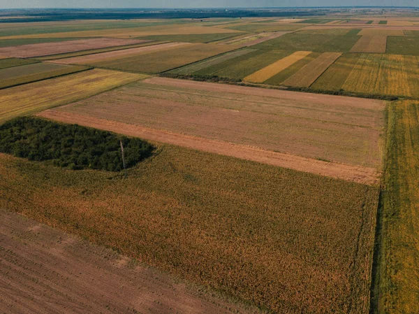 Fotografía Drones Campos Cultivados Verano Paisaje Campo Llano Desde Una — Foto de Stock