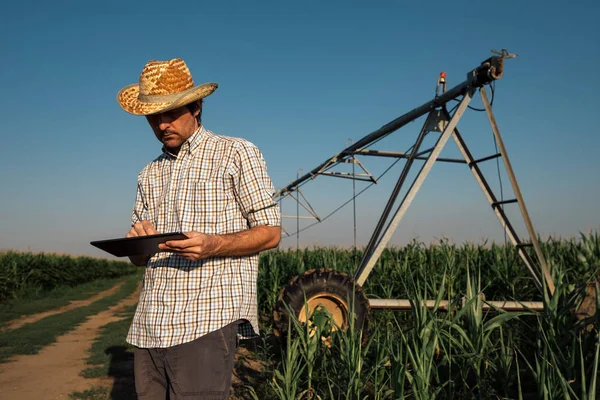 Serious Concerned Farmer Using Tablet Computer Cornfield Irrigation System Out — Stock Photo, Image