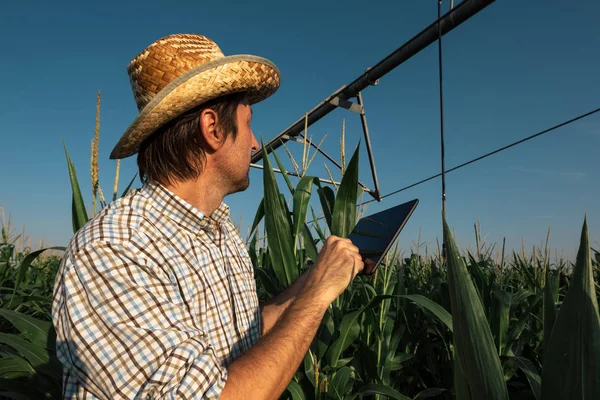 暖夏日外农田灌溉系统严重关注农民使用平板电脑 — 图库照片