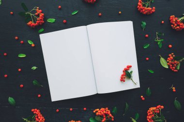 Düz yatıyordu üstten görünüm açık boş defter vahşi berry meyve düzenleme ile dekore edilmiş kopya alanı pver koyu ahşap Resepsiyon arka plan kadar sahte