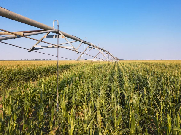 Drohnenfotografie Luftaufnahme Des Bewässerungssystems Kultiviertem Maisfeld — Stockfoto
