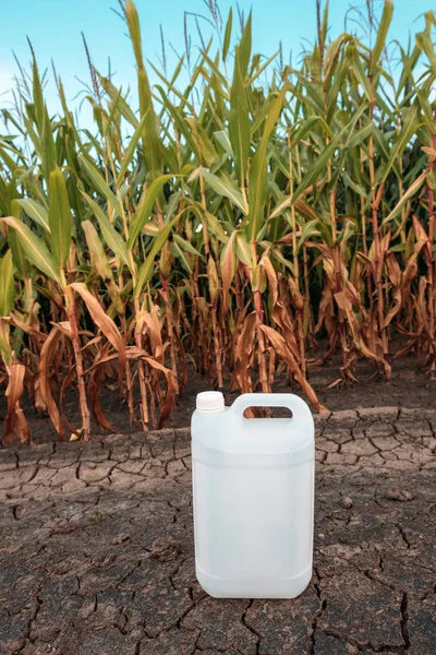 Cruche Chimique Pesticide Plastique Blanc Dans Champ Maïs Comme Espace — Photo