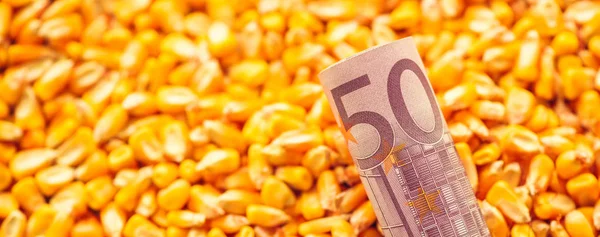 Five Hundred Euros Bill Harvested Corn Kernels Heap Selective Focus — Stock Photo, Image