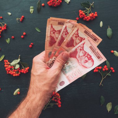 Sırp para birimi bin dinar banknotlar, tutan el için asgari ücret kavramı koyu arka plan üzerinde vahşi berry meyve ile dekoratif düzenlemenin üstten görünüm