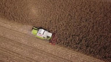 Zrenjanin, Sırbistan - 09 Eylül 2018: Mısır hasat Voyvodina alanları Birleştir hasat hava görünümünü. Mısır hasat bu yıl iyi ama Sırp çiftçiler fiyat ile mutsuz olduğunu.