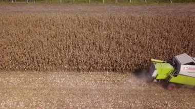 Zrenjanin, Sırbistan - 09 Eylül 2018: Mısır hasat Voyvodina alanları Birleştir hasat hava görünümünü. Mısır hasat bu yıl iyi ama Sırp çiftçiler fiyat ile mutsuz olduğunu.