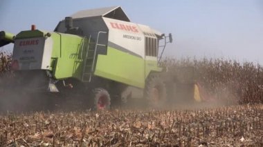 Zrenjanin, Sırbistan - 09 Eylül 2018: Birleştirin hasat Vojvodina düz alanlar üzerinde ekili mısır bitkileri hasat. Mısır hasat bu yıl iyi ama Sırp çiftçiler fiyat ile mutsuz olduğunu.