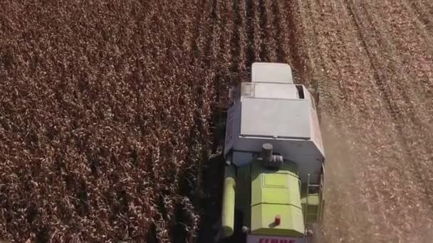 Зреньянин Сербия Сентября 2018 Воздушный Обзор Комбайна Собирающего Кукурузу Полях — стоковое видео