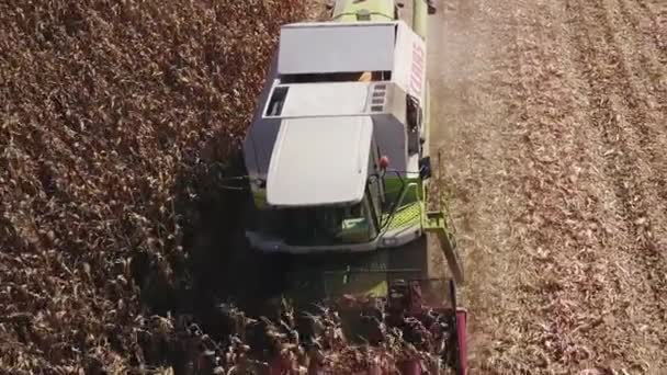 Zrenjanin Srbsko Září 2018 Letecký Pohled Sklízecí Mlátičky Sklizeň Kukuřice — Stock video