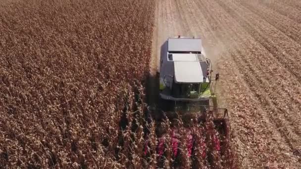 Nagybecskerek Szerbia Szeptember 2018 Légi Felvétel Kombájn Betakarítás Kukorica Növények — Stock videók