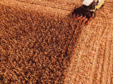 Aerial photography of combine harvester harvesting corn crop field from drone point of view clipart