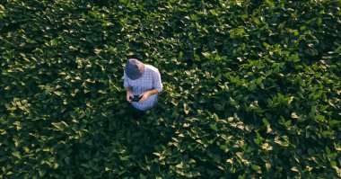 Çiftçi ziraat mühendisi gözlemlemek ve Kontrol uçağı kullanarak soya alan, havadan görünümü ekili