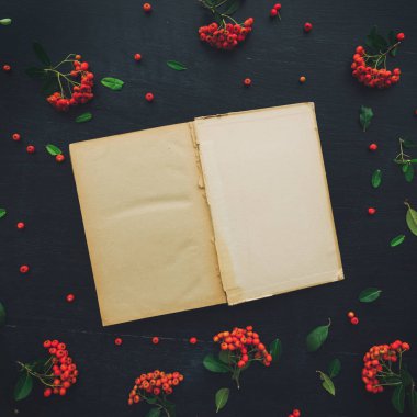 Vintage açık kitap düz lay sahte kadar vahşi berry meyve düzenleme ile dekore edilmiş kopya alanı od koyu siyah Resepsiyon arka plan olarak