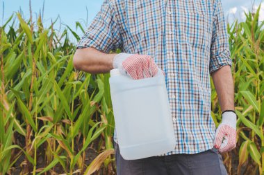 Farmer holding pesticide chemical jug in cornfield. Blank unlabelled bottle as mock up copy space for herbicide, fungicide or insecticide used in corn crop farming. clipart