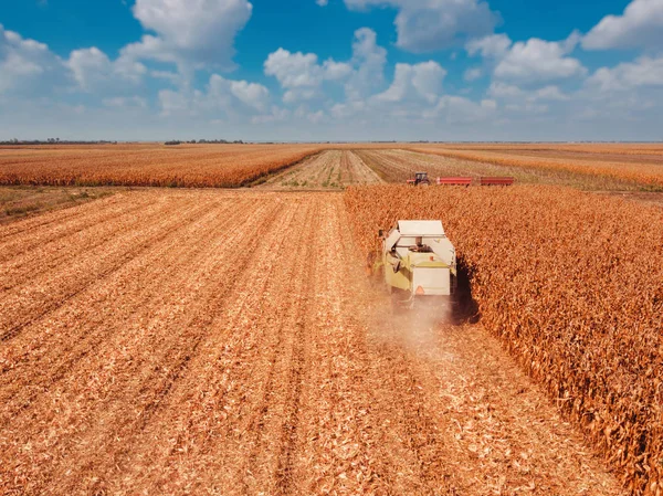 Fotografia Aerea Mietitrebbiatrice Campo Raccolto Mais Dal Punto Vista Drone — Foto Stock