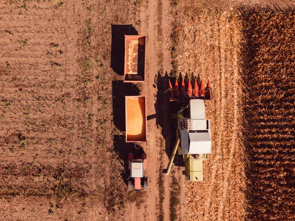 航空写真を組み合わせてトラクター貨物カート ハーベスタ注ぐ収穫されたトウモロコシの穀粒 — ストック写真