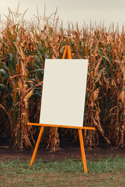 Blank Chart Noticeboard Cornfield Mock Copy Space Infographic Design — Stock Photo, Image